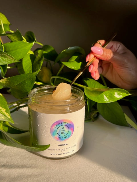 Original Sea Moss Gel
